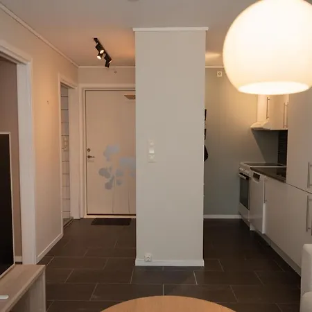 Modern Apt, Near Centre , Walking Distance Apartment *